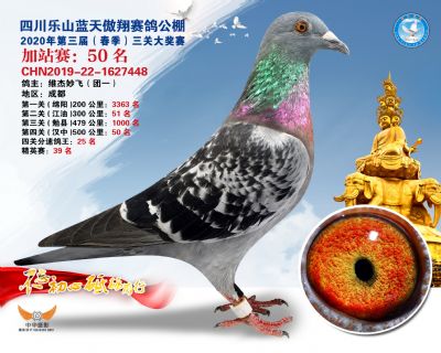 藍天傲翔加站賽50名
