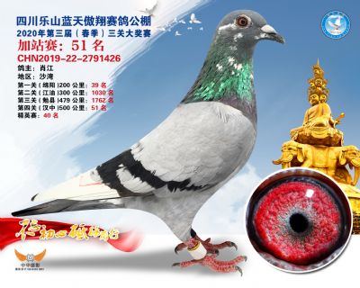 藍天傲翔加站賽51名