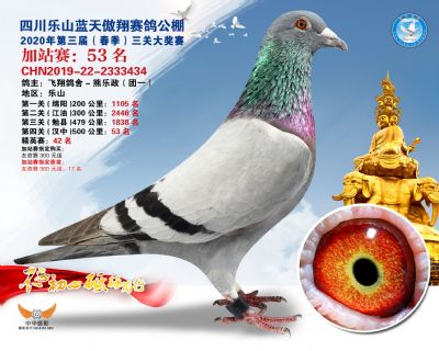 藍天傲翔加站賽53名