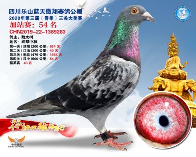 藍天傲翔加站賽54名