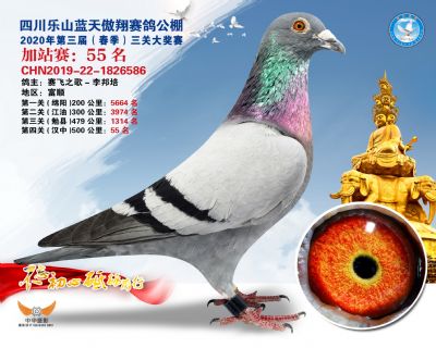藍天傲翔加站賽55名