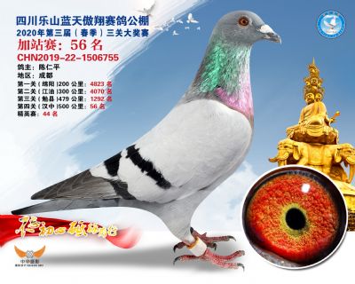 藍天傲翔加站賽56名