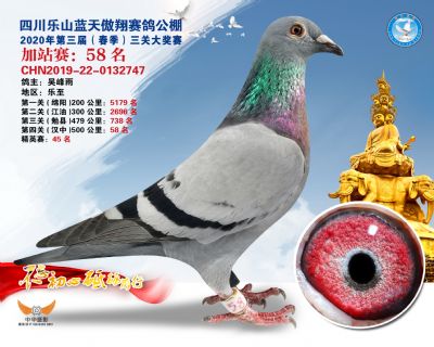 藍天傲翔加站賽58名
