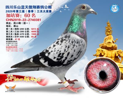藍天傲翔加站賽60名