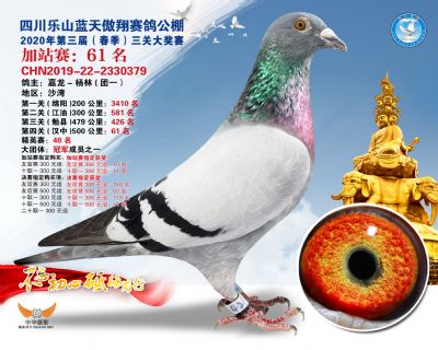 藍天傲翔加站賽61名