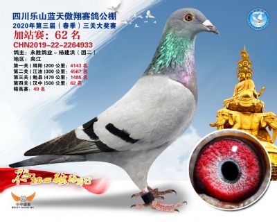 藍天傲翔加站賽62名