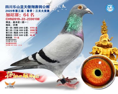 藍天傲翔加站賽64名