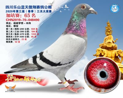 藍天傲翔加站賽65名
