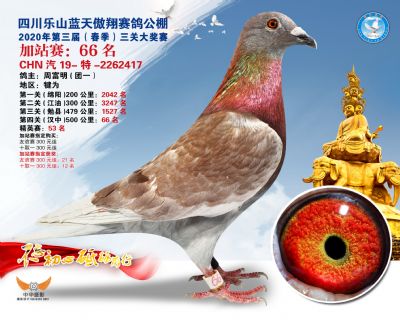 藍天傲翔加站賽66名