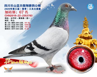 藍天傲翔加站賽67名