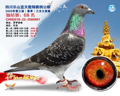 藍天傲翔加站賽68名