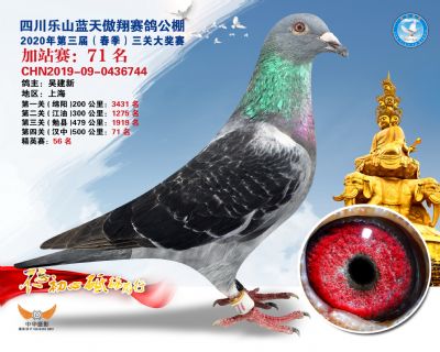 藍天傲翔加站賽71名