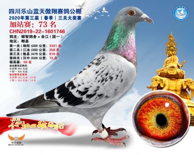 藍天傲翔加站賽73名