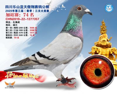 藍天傲翔加站賽74名