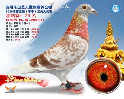 藍天傲翔加站賽75名