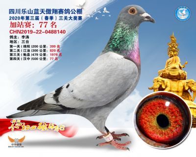 藍天傲翔加站賽77名
