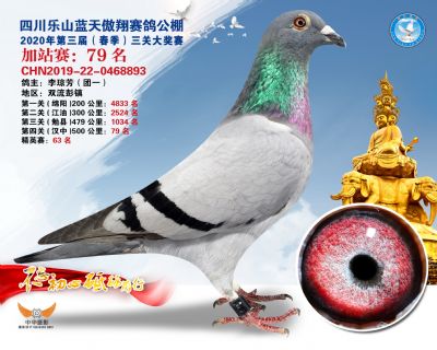 藍天傲翔加站賽79名