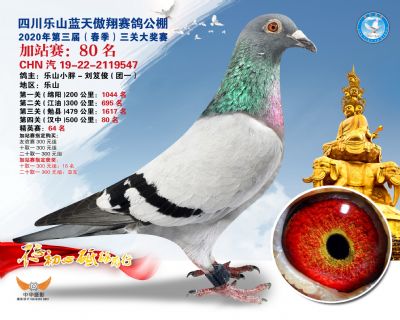 藍天傲翔加站賽80名