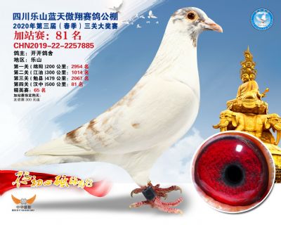 藍天傲翔加站賽81名