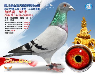 藍天傲翔加站賽82名