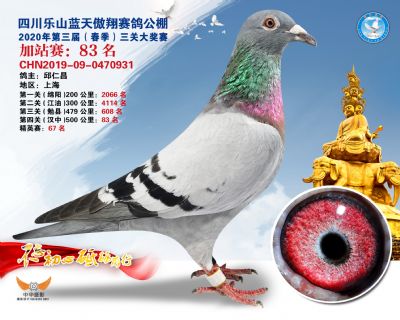 藍天傲翔加站賽83名