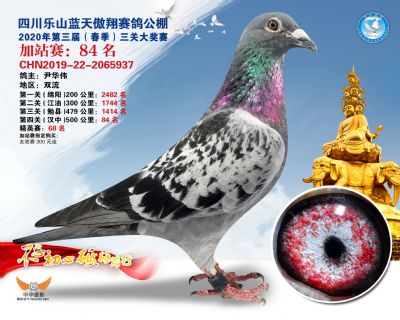 藍天傲翔加站賽84名