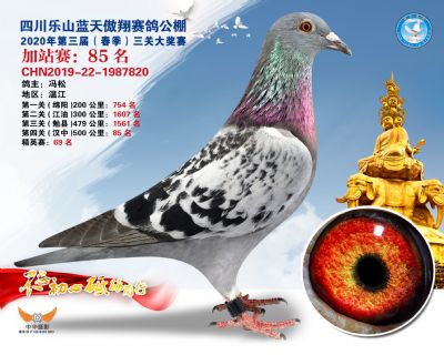 藍天傲翔加站賽85名
