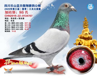 藍天傲翔加站賽86名