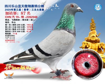 藍天傲翔加站賽87名