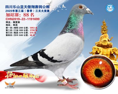 藍天傲翔加站賽88名