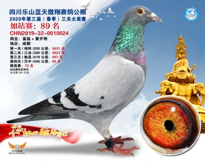 藍天傲翔加站賽89名