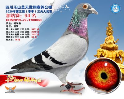 藍天傲翔加站賽94名