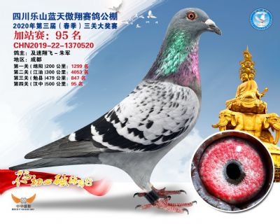 藍天傲翔加站賽95名