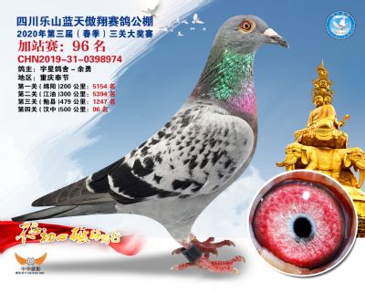 藍天傲翔加站賽96名