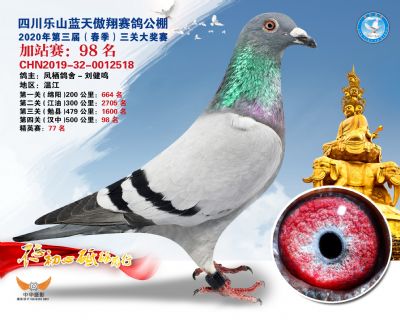 藍天傲翔加站賽98名