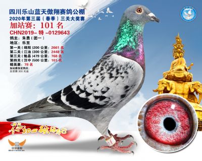 藍天傲翔加站賽101名
