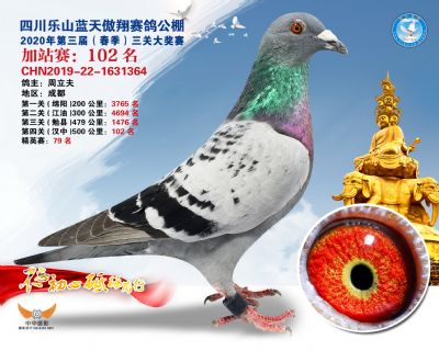 藍天傲翔加站賽102名