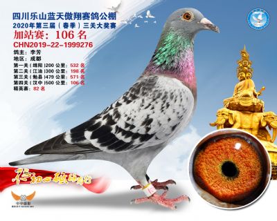 藍天傲翔加站賽106名