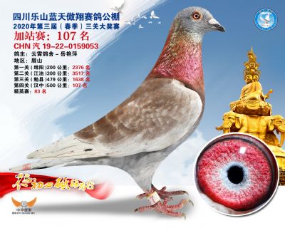 藍天傲翔加站賽107名