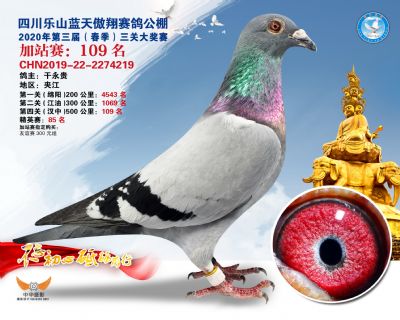 藍天傲翔加站賽109名