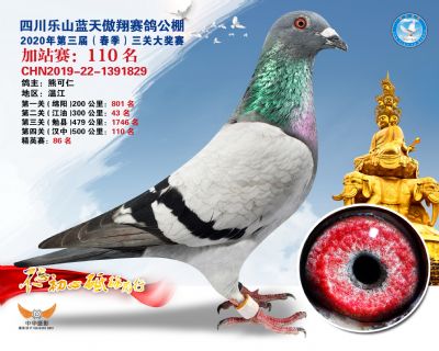 藍天傲翔加站賽110名