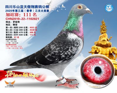 藍天傲翔加站賽111名