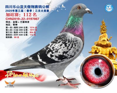 藍天傲翔加站賽112名