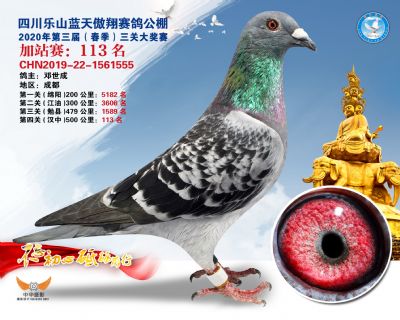 藍天傲翔加站賽113名