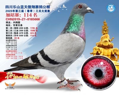 藍天傲翔加站賽114名