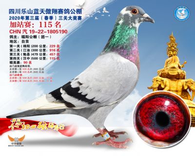 藍天傲翔加站賽115名