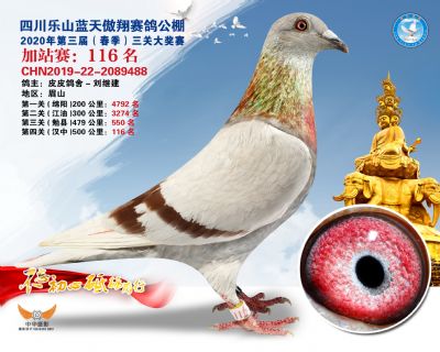 藍天傲翔加站賽116名