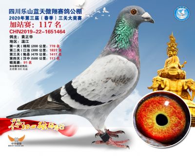 藍天傲翔加站賽117名
