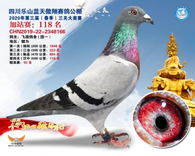 藍天傲翔加站賽118名