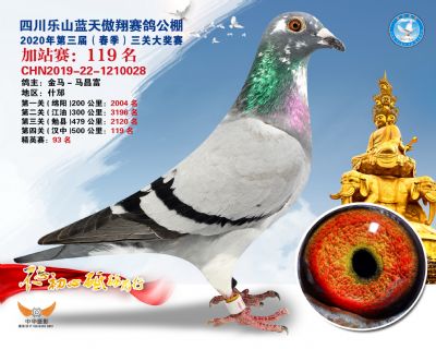 藍天傲翔加站賽119名